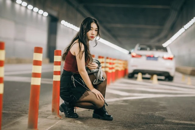 西檬之家K9犬系的世界:如何理解与参与这一独特文化? 一