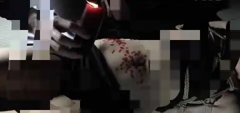 西檬之家字母圈的小圈文化探秘 一