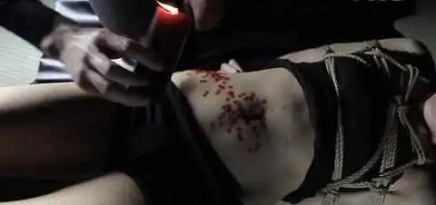 西檬之家DS关系的秘密:如何在字母圈中找到你的角色? 一