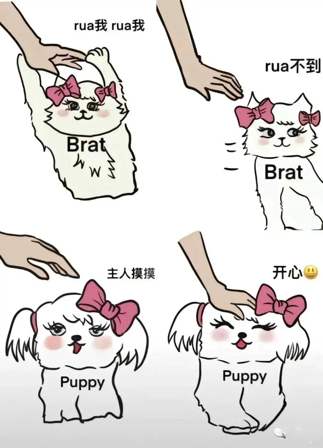 西檬之家dom是什么意思? 一