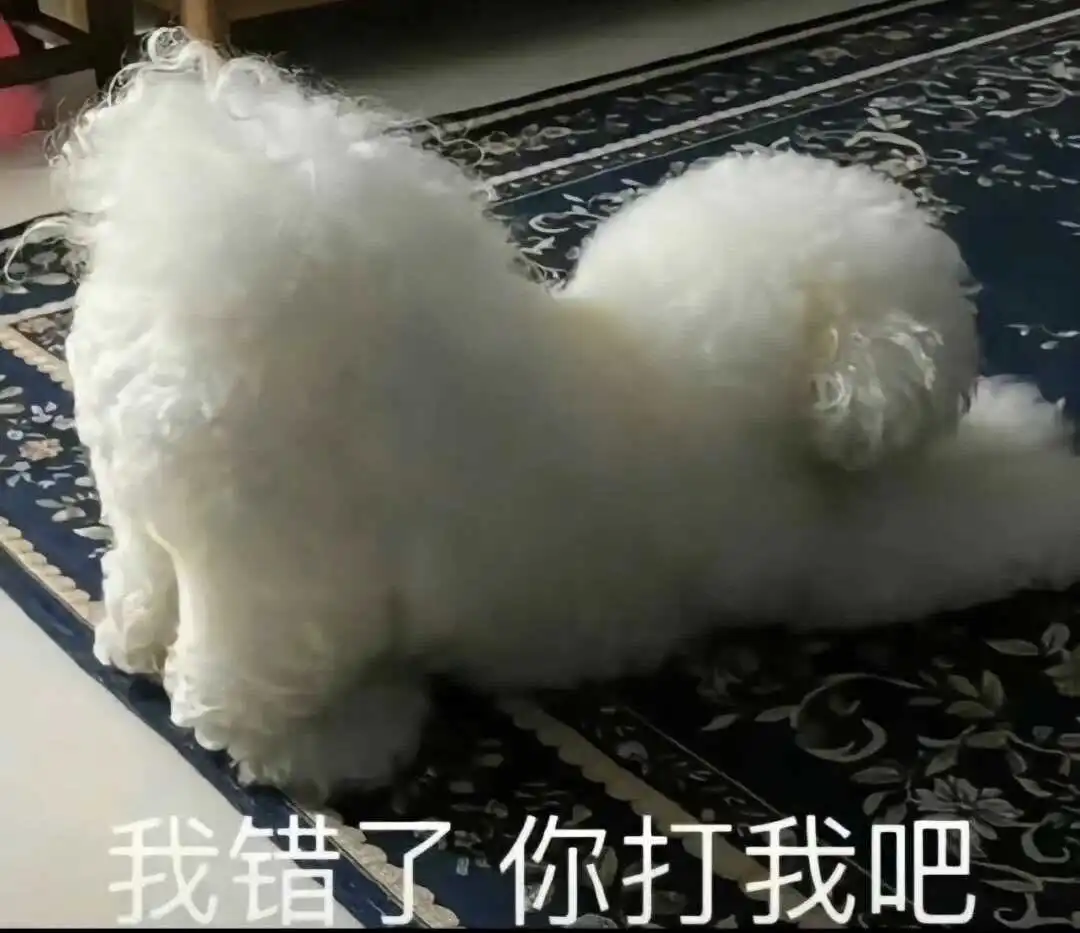 西檬之家TS是指跨性别吗? 一