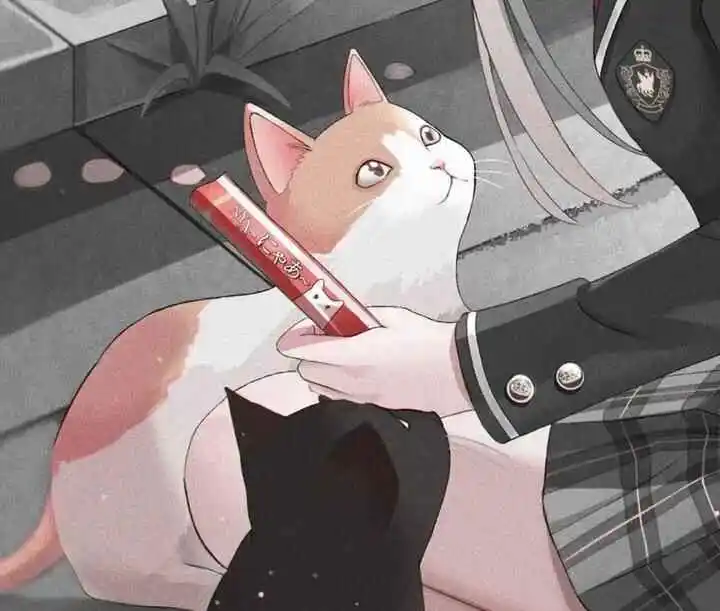 西檬之家圣水是什么?字母圈的新人入坑指南 一