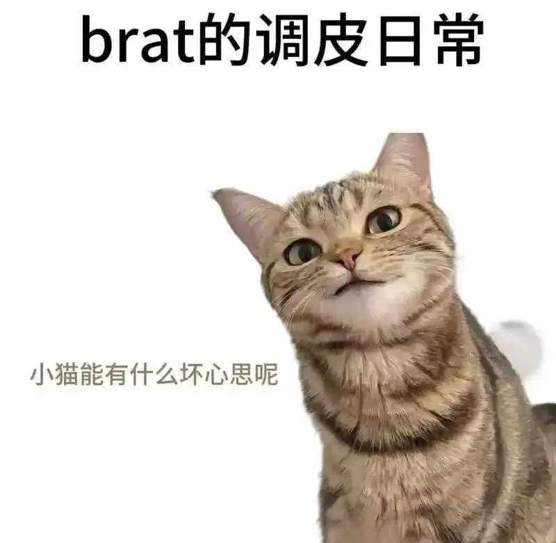 西檬之家什么是s属性?字母圈新人必懂 一