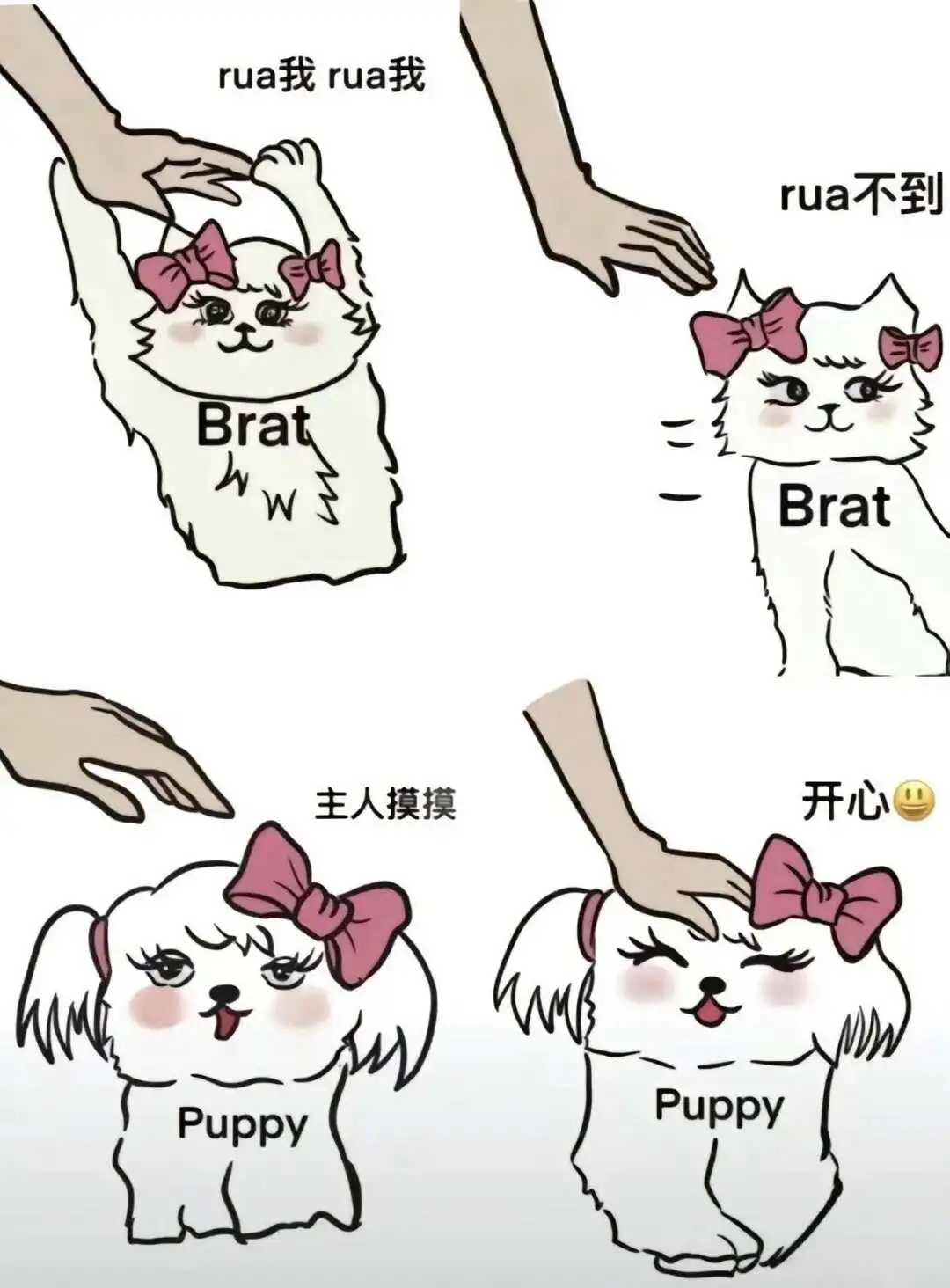 西檬之家k8是什么?你的字母圈属性是猫系还是犬系? 一