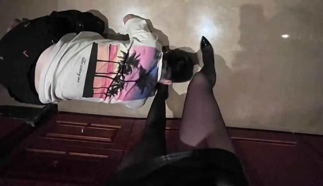西檬之家K8是什么?字母圈猫系角色解析 一