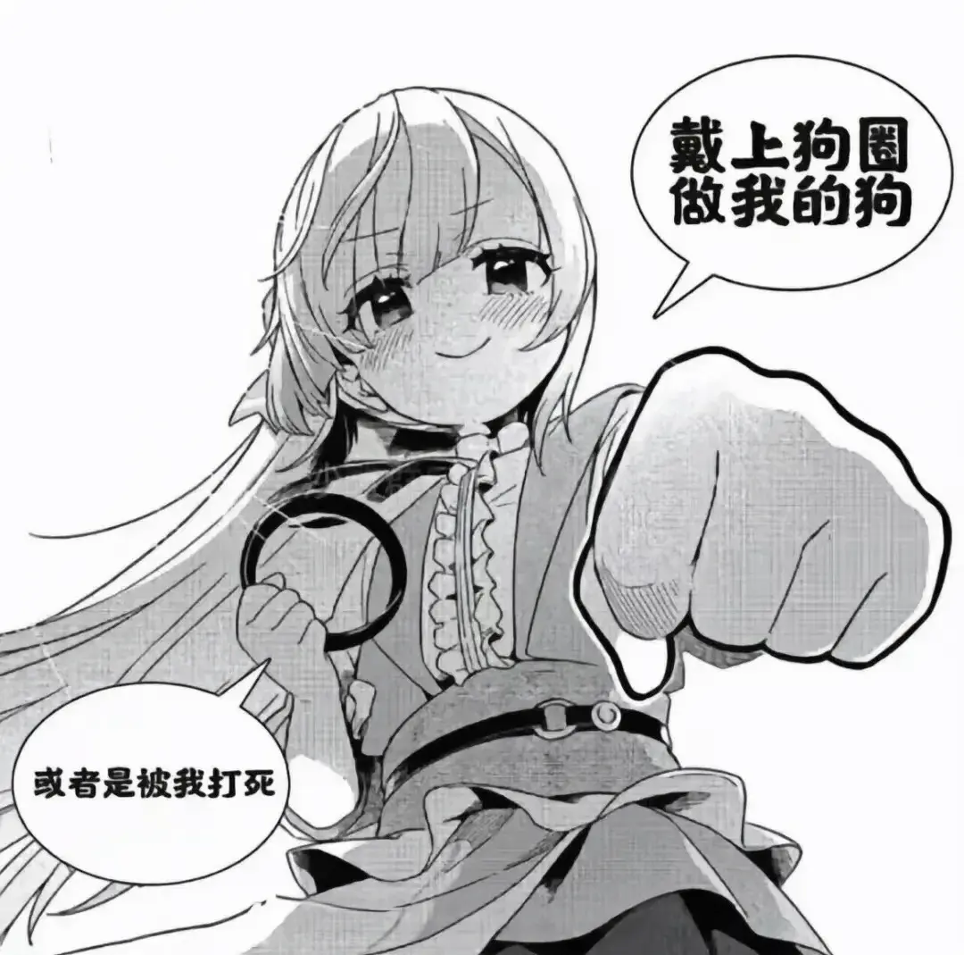 西檬之家字母圈的TS是什么意思? 一