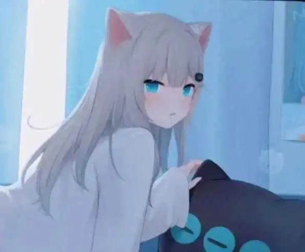 西檬之家s属性是什么意思? 一
