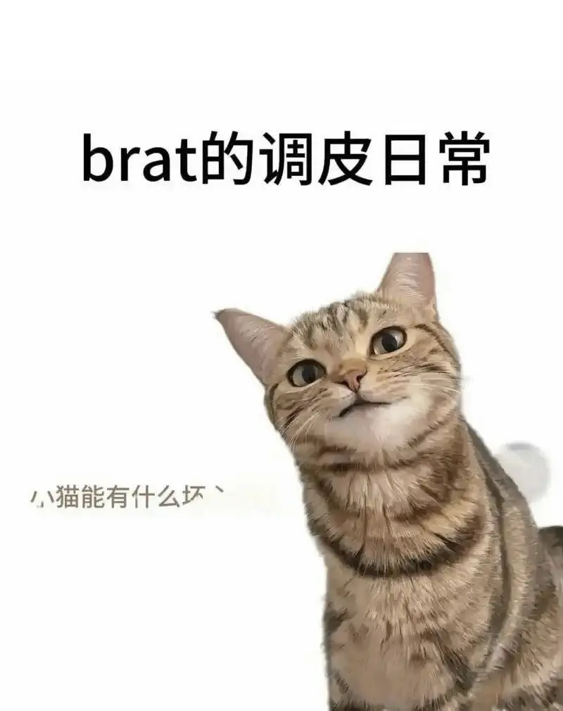 西檬之家字母圈的小圈是什么?新人入圈指南 一