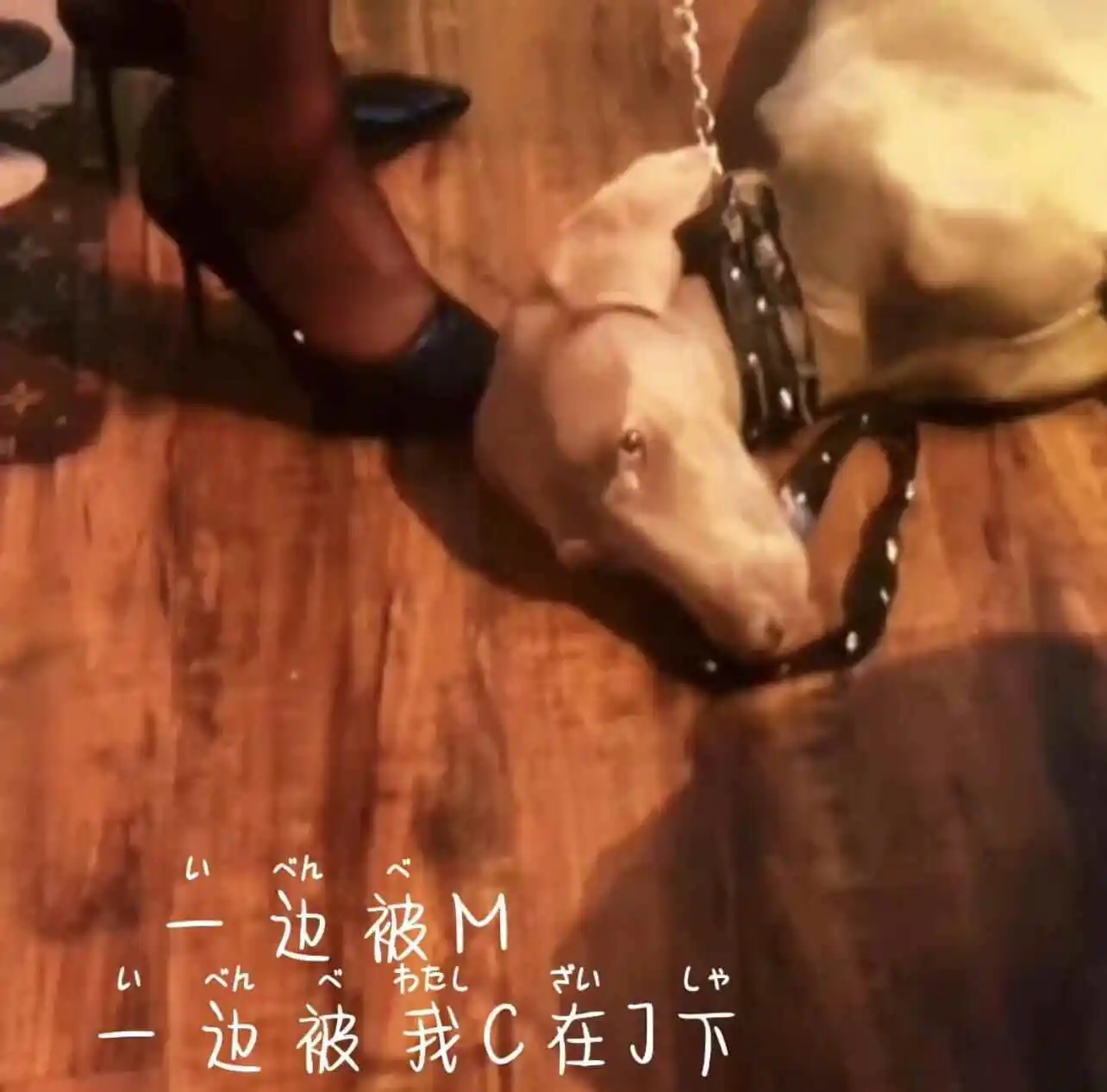西檬之家字母圈DS关系是什么? 一