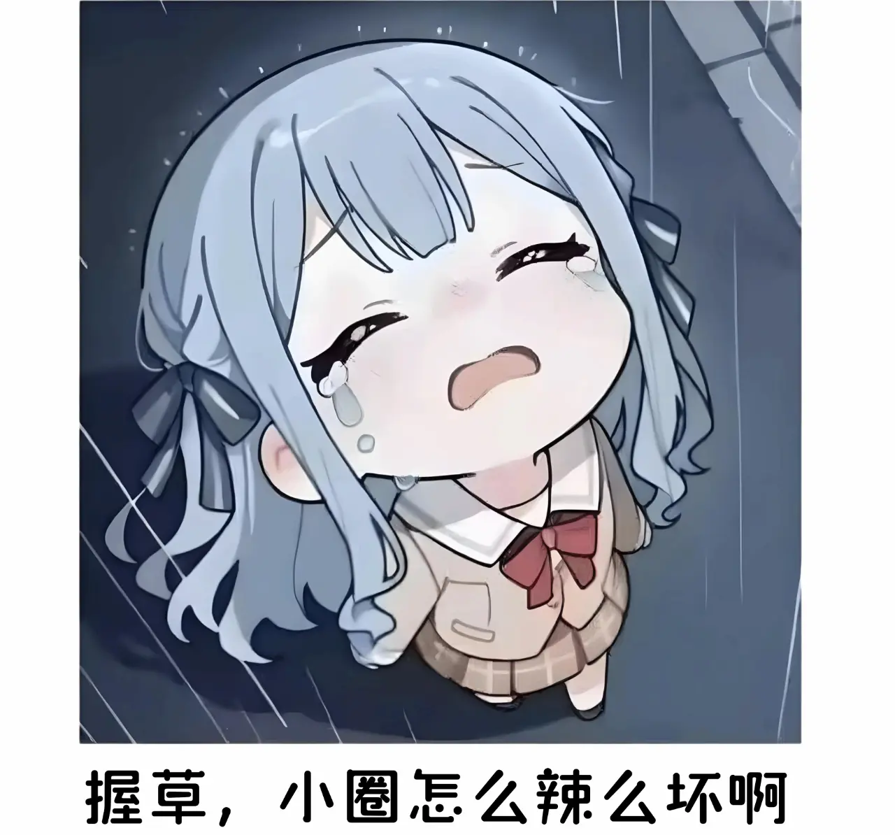 西檬之家k9犬系是什么? 一