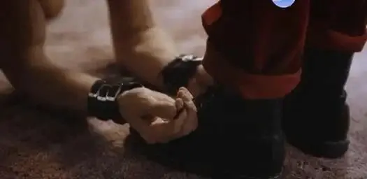 西檬之家ds关系是什么意思? 一