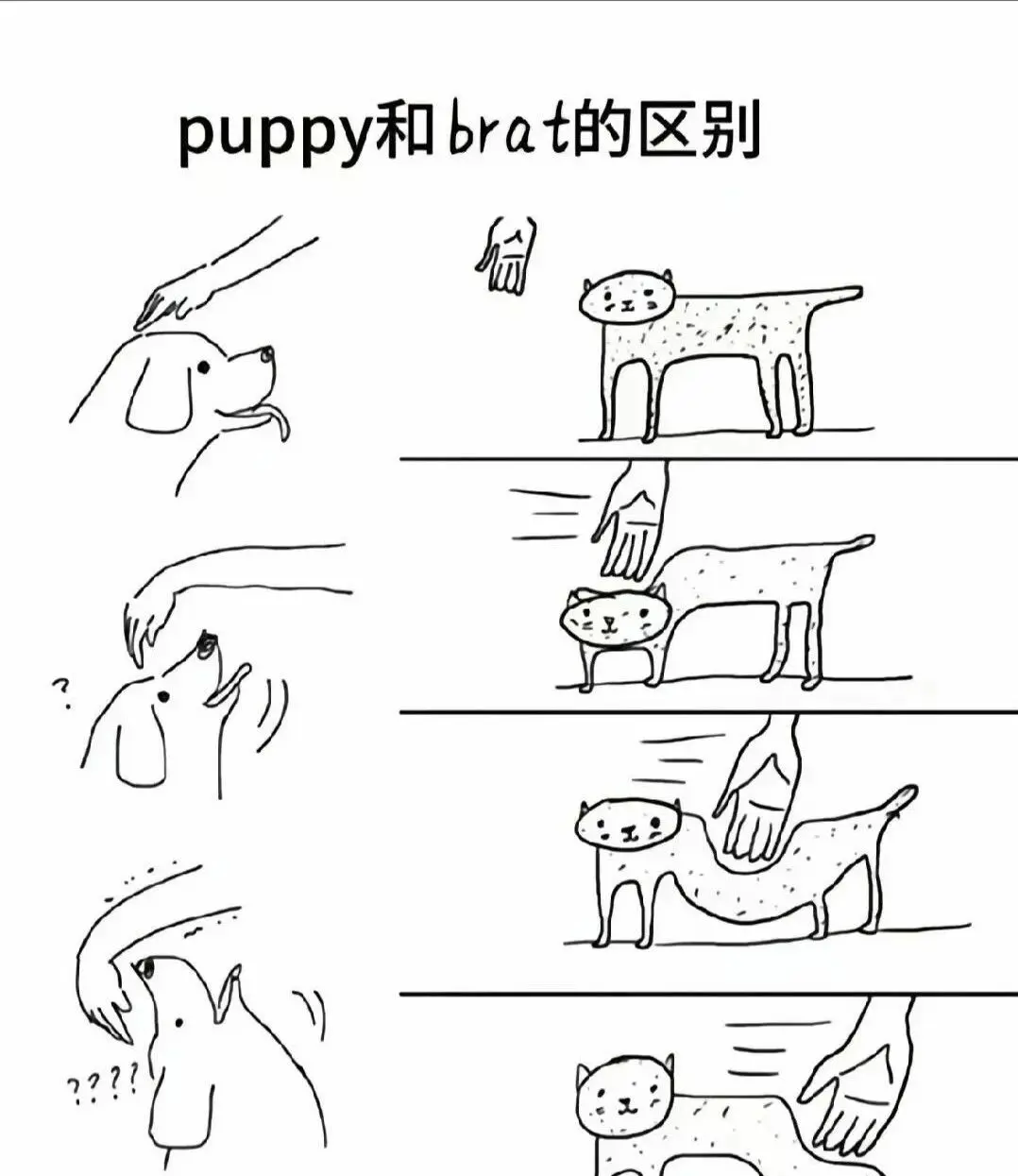 西檬之家字母圈SP是什么?新人入圈指南 一